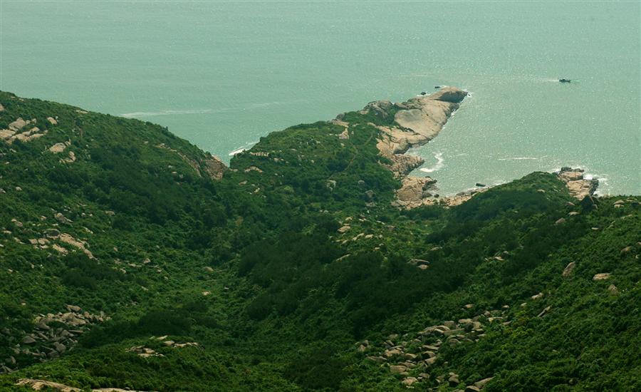 硖门乡大岗头鲲鹏展翅